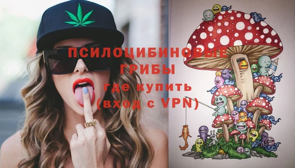прущий лед Богородск