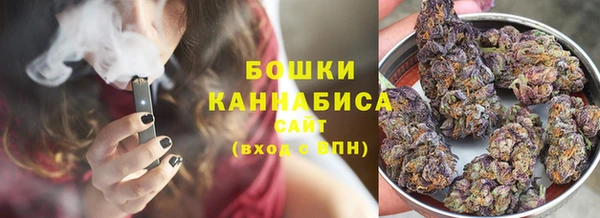 прущий лед Богородск